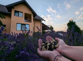 Pensiunea Teona, Hotel in Târgu Ocna