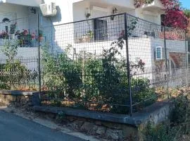 Apartman Asja