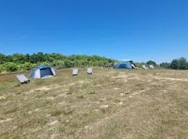 Uszate Ranczo
