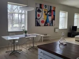 Aste loft apartement