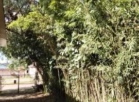 Estúdio Bambuzal no Centro