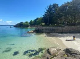 Plage des Dunes - Grand Studio ouvert avec 1 mezzanine et 1 alcôve