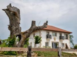 Pepiño de Tomonte, cabin in Atrave