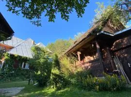 Woodenhouse Maramures