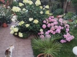 Dom Wypoczynkowy Mały Chemik, Hotel in Krzewent