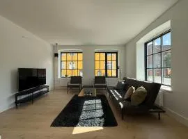Luxurious Odense Apt