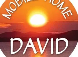 Mobile Home DAVID Pirovac