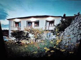 Zorin House Rooms