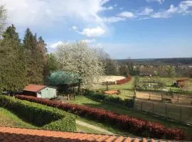 Agriturismo Tenuta Blueberry - Glicine