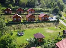 Zielona Przystan