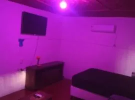 the yellow house