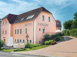 Hotel Pavlov