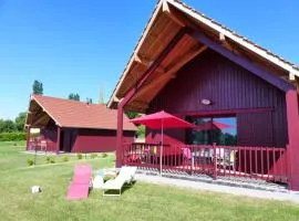Gîtes proches vignoble, déco cosy, terrasse, activités familiales et nature - Tout inclus - FR-1-489-235