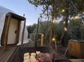 Glamping Domo 7 Tazas con Tinaja