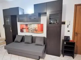 Grazioso Appartamento a 500m da Piazza del Campo - ZTL Free