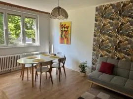 Apartmán JzP