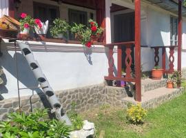 Casa Putna, hotel din Vidra