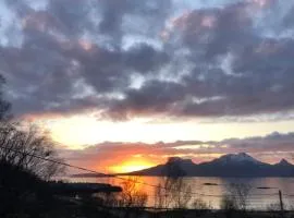 Midnight Sun Road