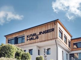 Karlingerhaus Hotel Hostel Home、K&ouml;nigswiesenのホステル