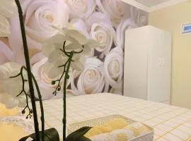 Nice room less Pay near Port Adelaide
