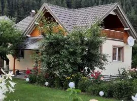 Casa Raluca