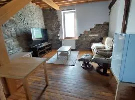 Charming country stone-wood house