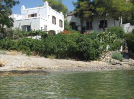 Villa Mimosa Poros Beachfront Apartment, alojamiento con cocina en Poros