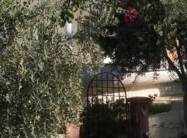 Complete renovated Large Villa