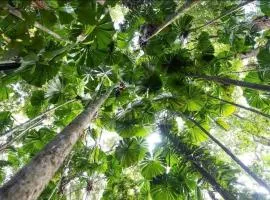 DaintreeeRainforest Bedroom with Ensuite Private