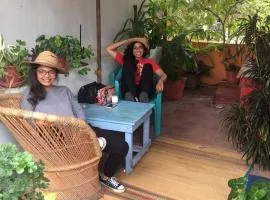Villa Butterfly Studio