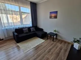 SunCoast terrace apartment