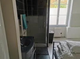 T2 COMPLET BLOIS Centre 38 M2