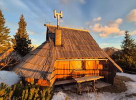 Koča Velika Planina - Chalet Kamrica, cabin nghỉ dưỡng ở Stahovica