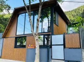 Buddy Cottage Borjomi