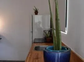 Deluxe Studio