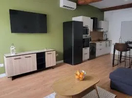 T2 au cœur de Castelnaudary