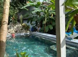 Casa Sophia 3 listings Apartment 1 or Apartment 2 separately or Apt 1 and 2 together all with FO internet