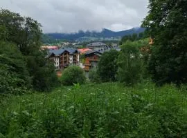 Vista Studio