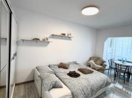 Modern Studio, hotel en Fălticeni