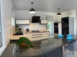 Villa de charme T3 avec jardin et spa