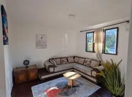City Centre Home