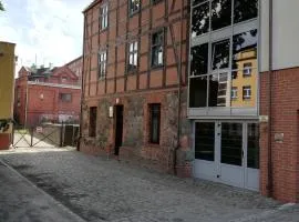 Apartament pod Starym Dębem