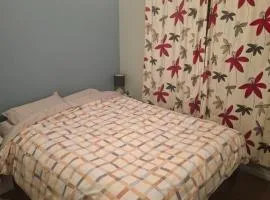 North East Valley apartment