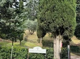 B&B Podere Cottimellino - Montalcino - Val d'Orcia