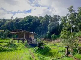 Chibacall ชิบะคอล Chiang Mai hideaway Homestay
