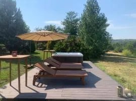 Vila Timok