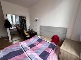 Sunny Shared Apartment in the City Centre 2b2b--See introduction and female only