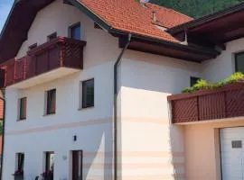 Apartments Na Žagi