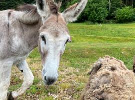 les biches du saut des cuves, hotel en Xonrupt-Longemer
