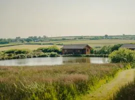 2 Bed in Clovelly 00362